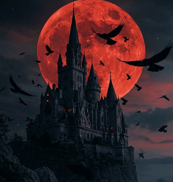 Book Story Writing Service